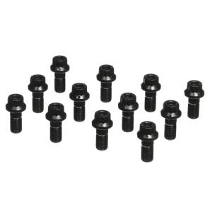 Wavetrac - ARP Ring Gear Bolt Kit For BMW E-DIFF (12pc)